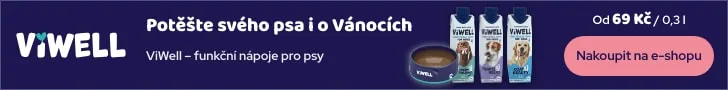 Vánoční banner ViWell, statická verze 728 × 90